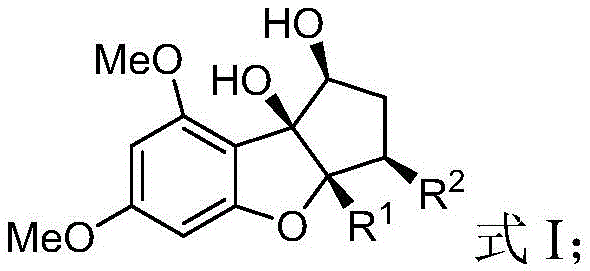 General structural formula of chiral allylated benzofuranone intermediate Formula I