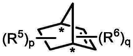 Structure of the chiral norbornene derivative co-catalyst