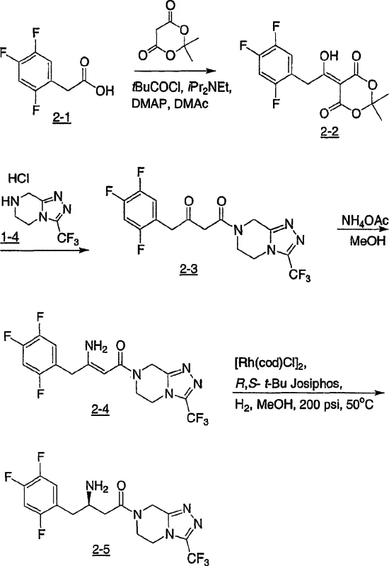 Reaction Scheme 2 showing the synthesis of chiral beta-amino acid derivative 2-5 from ketoamide 2-3 via enamine 2-4