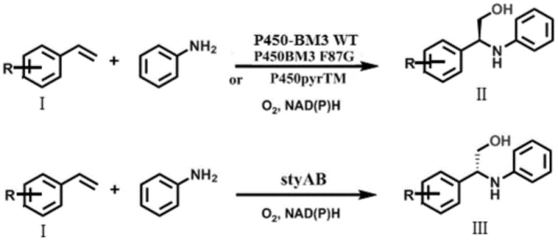 General reaction scheme showing monooxygenase catalyzed synthesis of chiral beta-amino alcohols from styrene derivatives and aniline