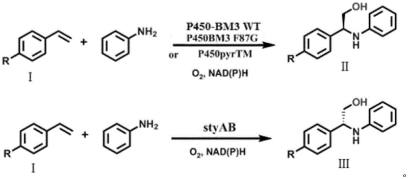 Reaction scheme for para-substituted styrenes showing versatility of the enzymatic method