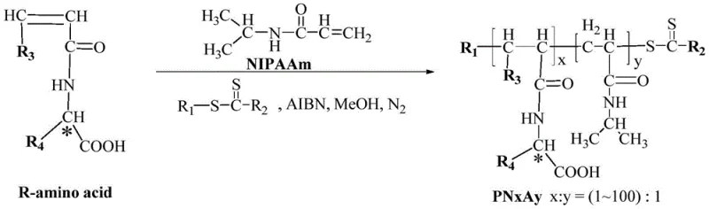 RAFT polymerization scheme for synthesizing the thermosensitive chiral amino acid block polymer