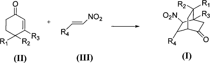 General reaction scheme showing cyclohexenone and nitroolefin derivatives forming chiral bicyclic compounds
