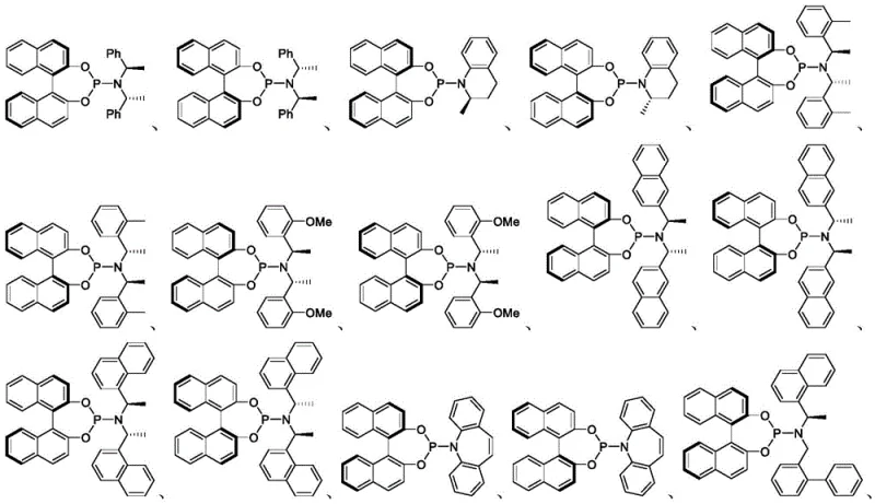 Structure of chiral phosphoramidite ligands used in the iridium catalytic system