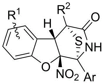 General structure of 1,4-sulfur bridge polycyclic compounds containing dihydrobenzofuran