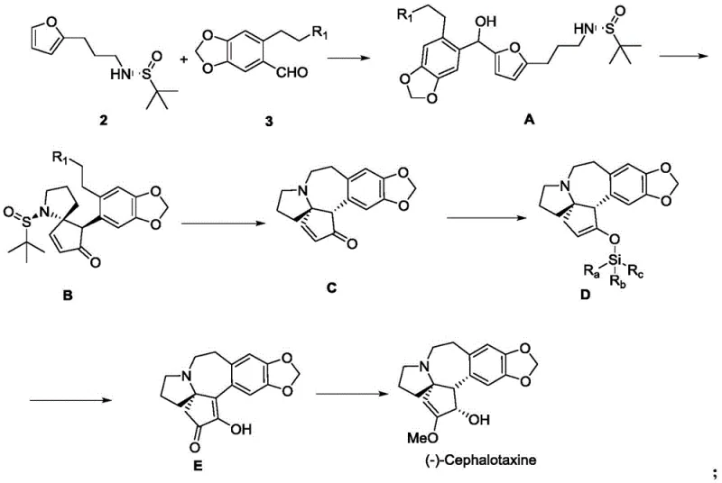 Complete synthetic route overview from furan to (-)-Cephalotaxine showing 10 steps