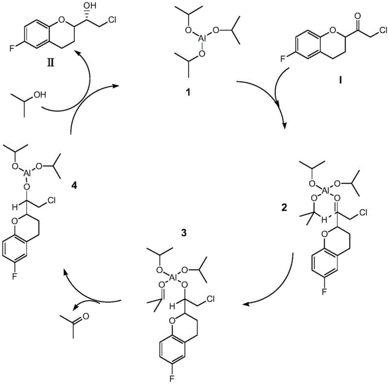 Catalytic cycle mechanism showing aluminum coordination and hydride transfer