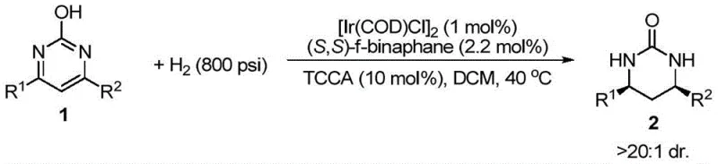 Specific reaction scheme for disubstituted substrates showing optimized conditions and high yields