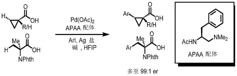 General reaction scheme showing Pd-catalyzed enantioselective C-H arylation of cyclopropanecarboxylic acids using APAA ligands