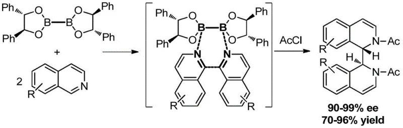 General structure of the novel chiral diboronic acid diol ester showing the B-B bond and chiral diol framework