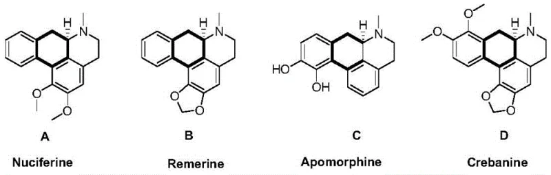 General structure of 9-phenanthrene amine substrate Formula 1