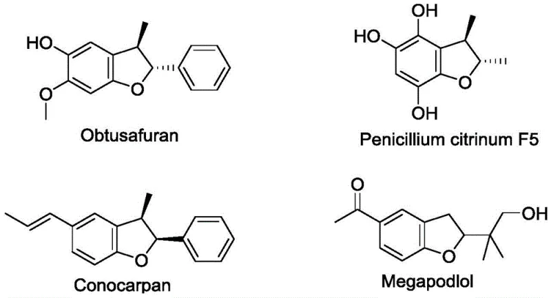 Chemical structures of natural products containing dihydrofuran skeletons like Obtusafuran and Conocarpan