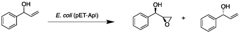 Kinetic resolution of racemic 1-phenyl-2-propenol showing selective epoxidation to (1R,2R)-1-phenyl-2,3-epoxypropanol