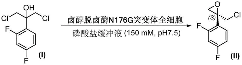 Reaction scheme showing the conversion of Compound I to Chiral Epoxy Compound II using Halohydrin Dehalogenase Mutant N176G