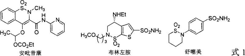 Chemical structures of common drugs containing sultam units such as Anitazepine, Brinzolamide, and Sultams