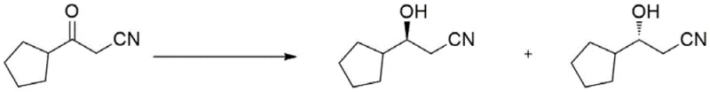 Biocatalytic reduction of 3-cyclopentyl-3-oxopropanenitrile to S-3-cyclopentyl-3-hydroxypropionitrile using engineered carbonyl reductase