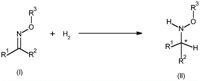 General reaction scheme showing enantioselective hydrogenation of oxime to hydroxylamine