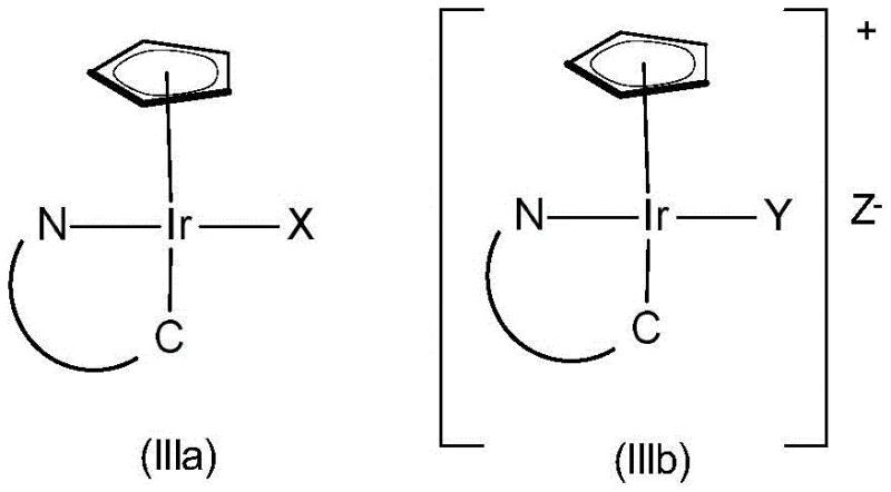 Structure of the chiral iridium catalyst showing Cp and C,N ligands