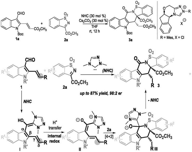 Reaction scheme and catalytic mechanism showing NHC activation and [4+2] annulation pathway