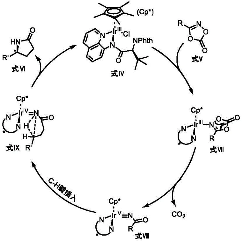 Detailed catalytic cycle showing C-H insertion and reductive elimination steps