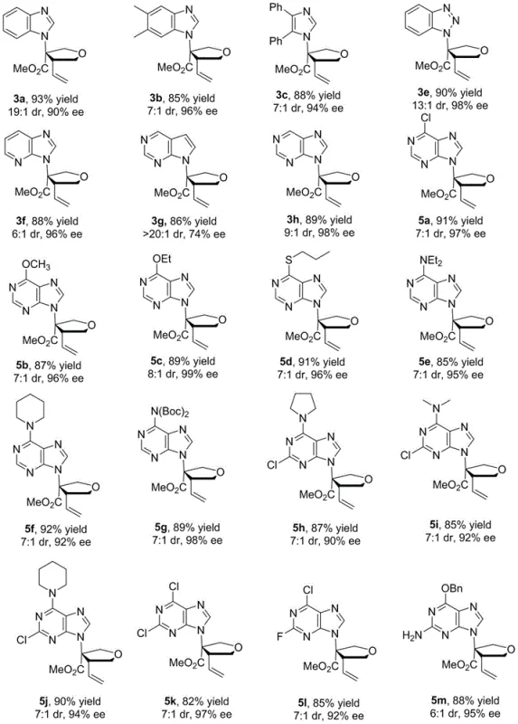 Substrate scope and derivatization of chiral isonucleoside analogs showing diverse heterocycles