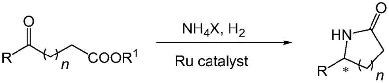 Novel one-pot tandem reductive amination and cyclization reaction scheme