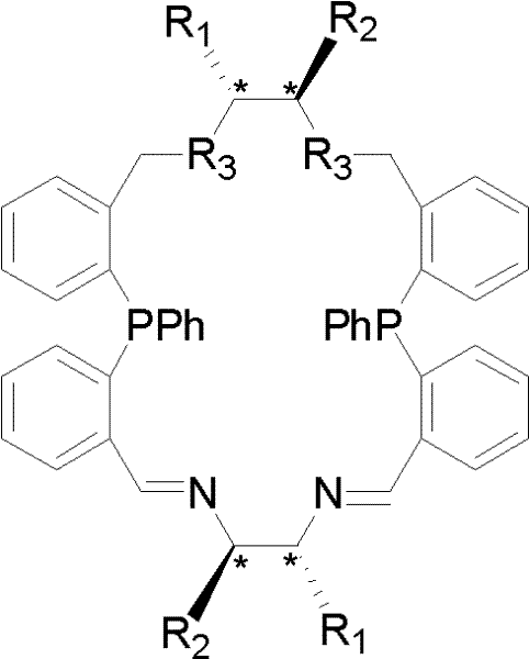 General structure of the chiral macrocyclic P2N4 aminophosphine ligand showing the rigid ring system