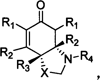 General structure of chiral nitrogen-containing heterocyclic compounds synthesized via organocatalysis