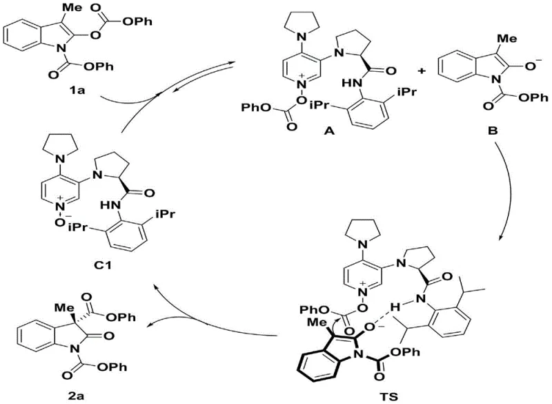 Proposed catalytic mechanism and transition state showing hydrogen bonding interactions
