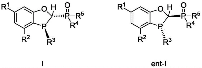 Chemical structure of the chiral bidentate phosphine-phosphine oxide ligand Formula I
