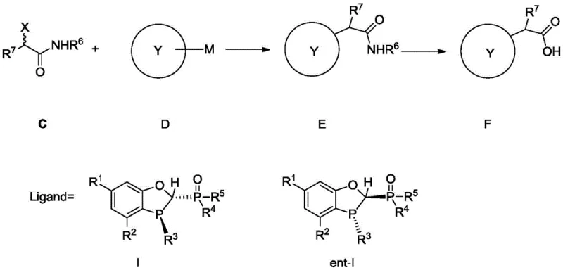 Novel Suzuki-Miyaura coupling pathway to alpha-aryl carboxylic acids using the new ligand