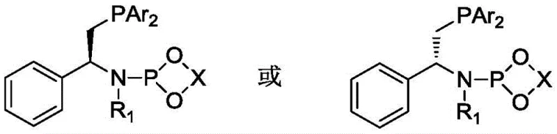 General chemical structure of the chiral phosphine-phosphoramidite ligand showing variable R groups and chiral centers