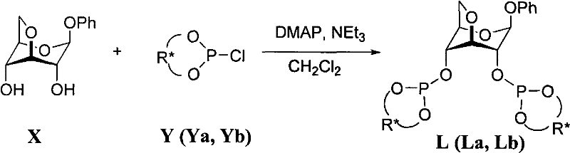 Synthesis reaction scheme of chiral bidentate phosphite ligand L from glucoside X and phosphorous oxychloride Y