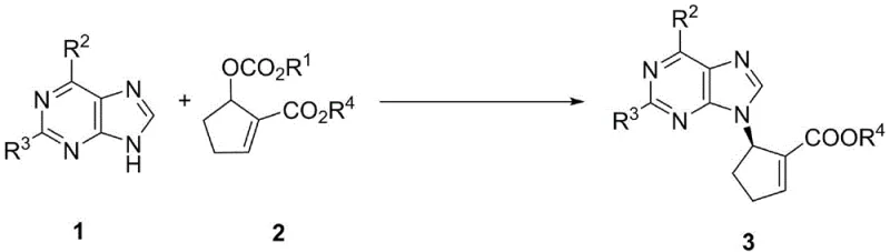 General reaction scheme showing the Pd-catalyzed asymmetric allylic amination of purines with MBH carbonates to form chiral nucleosides