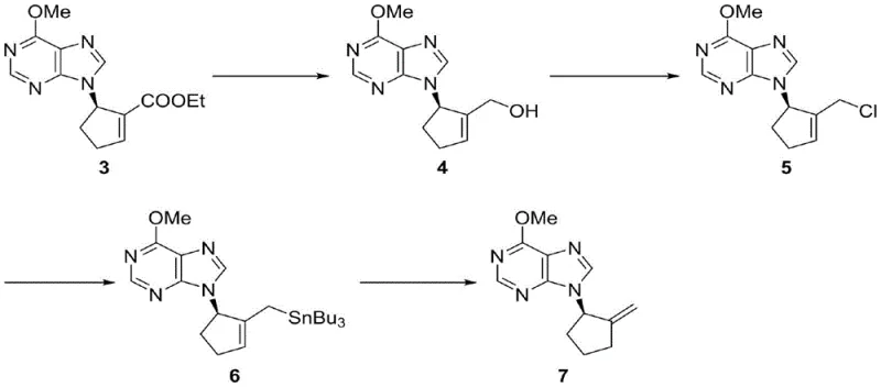 Downstream derivatization pathway converting the initial nucleoside product into diverse analogs with exocyclic double bonds