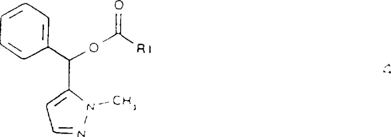 Chemical structure of the esterified pyrazole intermediate formed during lipase-catalyzed transesterification