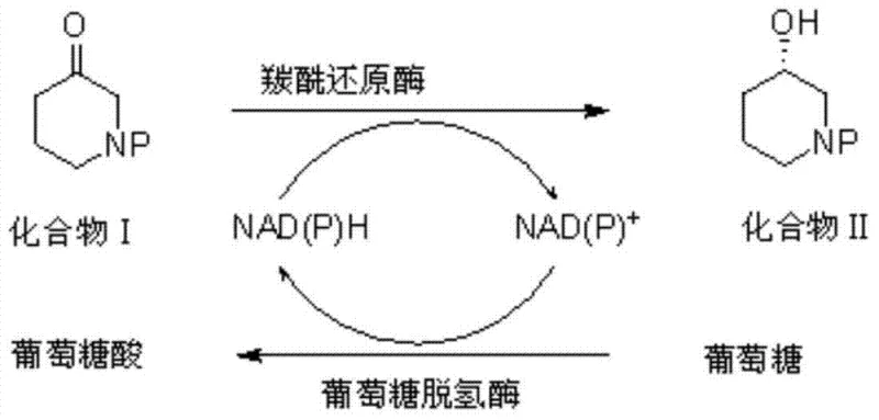 Schematic diagram of the enzymatic reduction of compound I to compound II using carbonyl reductase and NAD(P)H cofactor recycling via glucose dehydrogenase