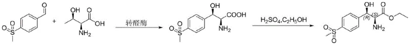 New enzymatic synthetic route using transaldolase and L-threonine showing high efficiency and green conditions