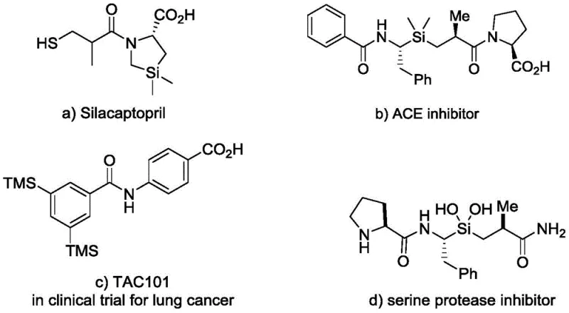 Bioactive examples of pyrrolidine derivatives including Silacaptopril and ACE inhibitors demonstrating therapeutic potential