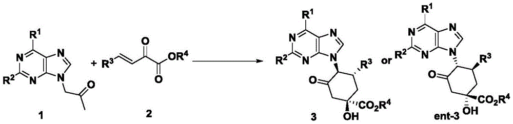 Asymmetric [3+3] cyclization reaction scheme showing synthesis of chiral six-membered carbocyclic purine nucleosides from α-purine substituted acetone and β,γ-unsaturated ketoester