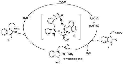 Catalytic cycle mechanism showing the generation of hypoiodite species and intramolecular cyclization