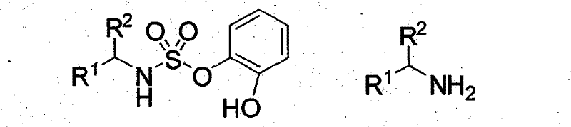 General structural formula of the chiral sulfonamide organic small molecule catalyst showing variable R groups
