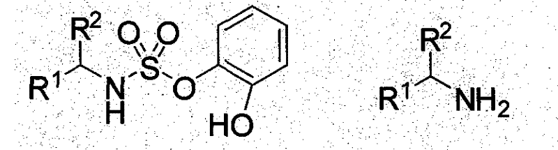 Synthesis route of the chiral sulfonamide catalyst from amine and catechol sulfonate