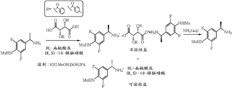 Scheme 1 illustrating the chiral resolution mechanism forming insoluble diastereomeric salts