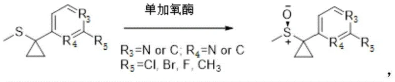 General reaction scheme showing monooxygenase catalyzed oxidation of thioether to chiral sulfoxide