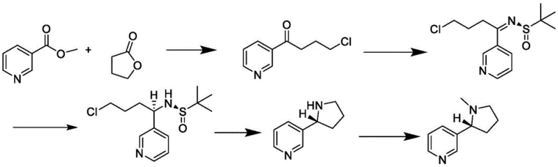 Novel chiral synthetic nicotine route using methyl nicotinate and gamma-butyrolactone