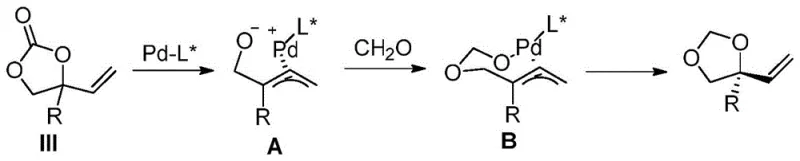 General reaction scheme showing Pd-B co-catalyzed asymmetric hydroxylation and etherification of racemic cyclic carbonates to chiral tertiary alcohols and ethers