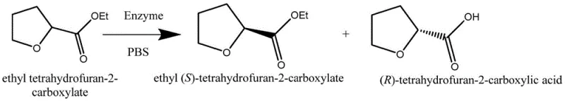 Enzymatic resolution of racemic ethyl tetrahydrofuran-2-carboxylate into chiral ester and acid