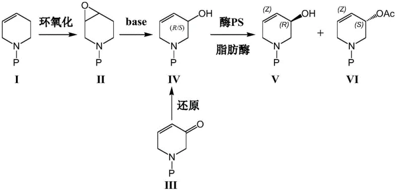 Comprehensive feasible synthetic route showing both Route A and Route B leading to enzymatic resolution