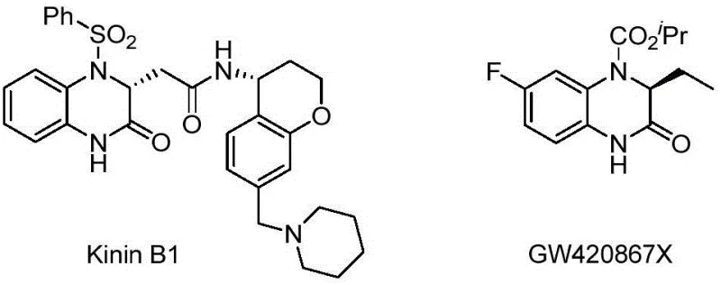 Bioactive molecules containing chiral dihydroquinoxalinone structural units such as Kinin B1 and GW420867X